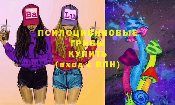 прущий лед Богородицк