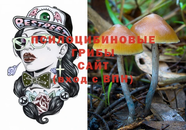a pvp Богданович