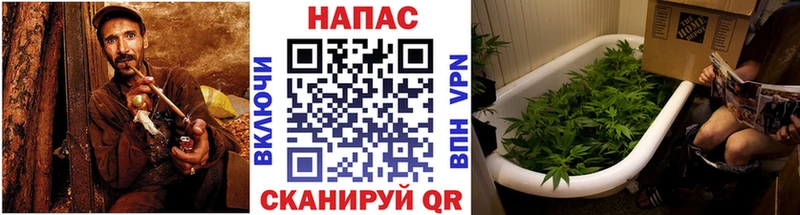 Каннабис Bruce Banner  где найти наркотики  Ясный 